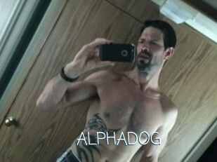 ALPHADOG