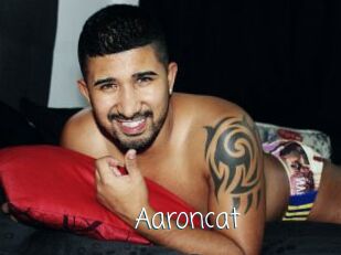 Aaroncat