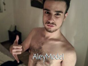 AleyModel