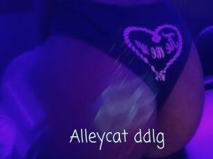 Alleycat_ddlg