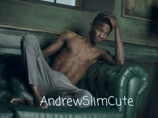 AndrewSlimCute