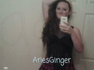 AriesGinger