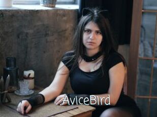 AviceBird