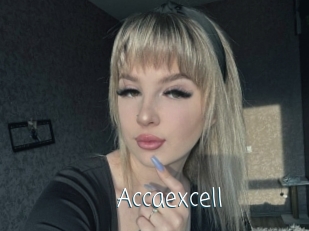 Accaexcell