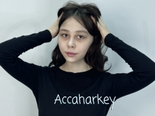 Accaharkey