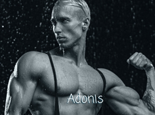 Adonis