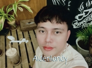 Aidenlandy