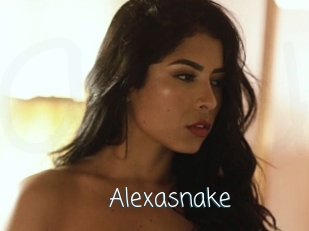 Alexasnake