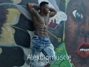 Alexbigmuscle