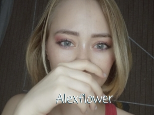 Alexflower