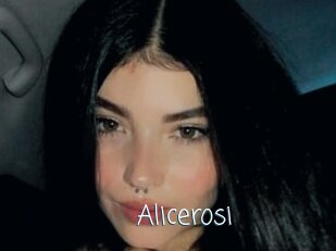 Alicerosi