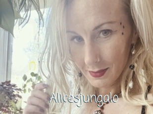 Alicesjungalo