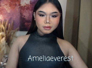 Ameliaeverest