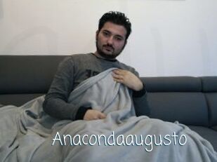 Anacondaaugusto