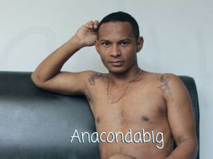 Anacondabig