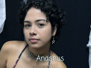 Anashus