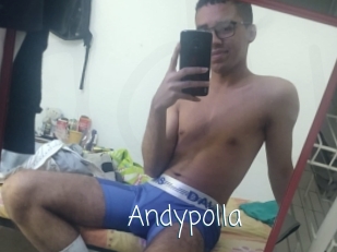 Andypolla