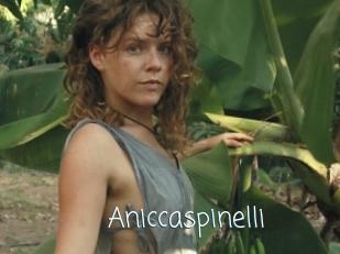 Aniccaspinelli