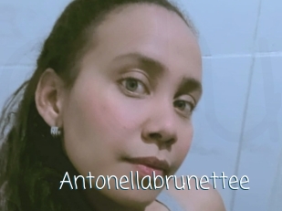 Antonellabrunettee