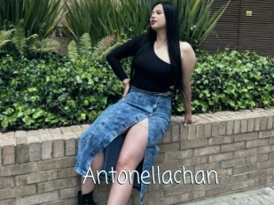 Antonellachan