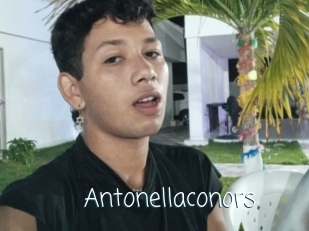 Antonellaconors