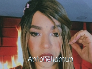 Antonellamun