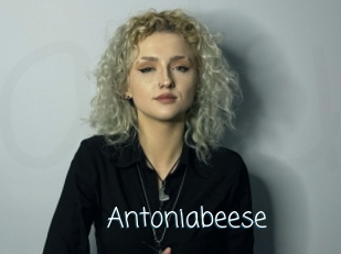 Antoniabeese