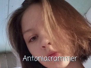 Antoniacrammer