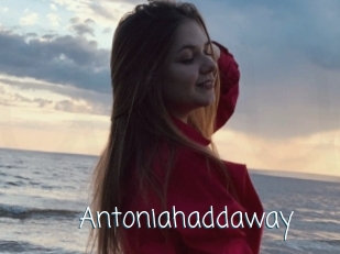 Antoniahaddaway