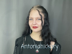 Antoniahickory