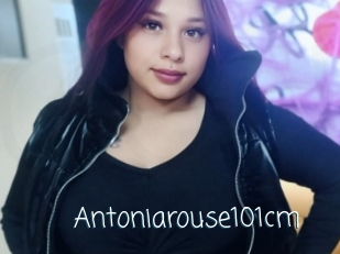 Antoniarouse101cm