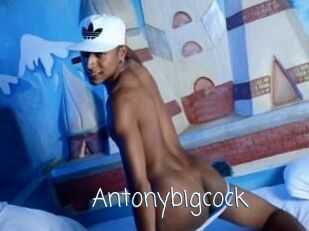 Antonybigcock