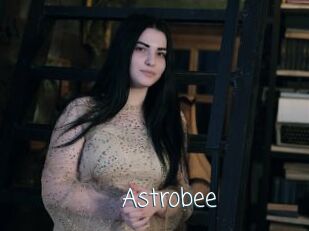 Astrobee