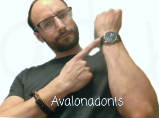 Avalonadonis