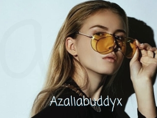 Azaliabuddyx