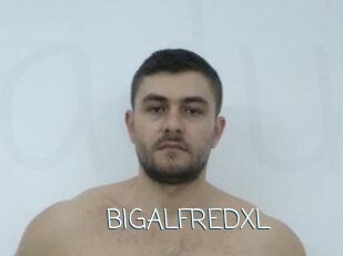 BIGALFREDXL