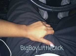 BigBoyLittleDick