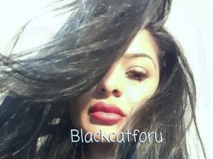 Blackcatforu