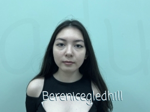 Berenicegledhill