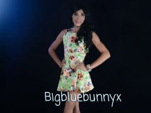 Bigbluebunnyx