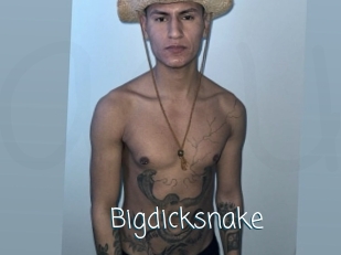 bigdicksnake Adult o Porn