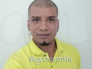 Bigertosmthi