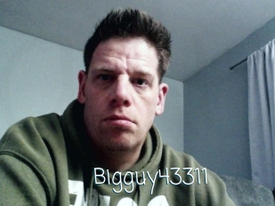 Bigguy43311