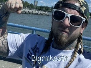 Bigmikesfit