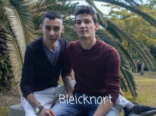 Bleicknort