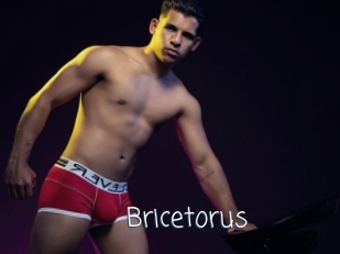 Bricetorus