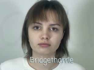 Bridgetharrie