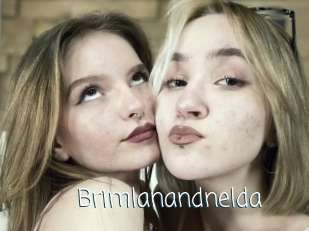 Brimlanandnelda