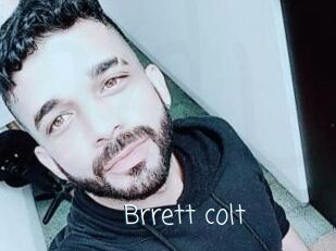 Brrett_colt