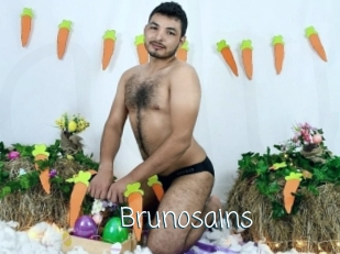 Brunosains